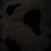 s_cordle